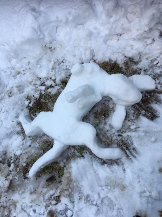בעלי חיים דמויות שלג (4)