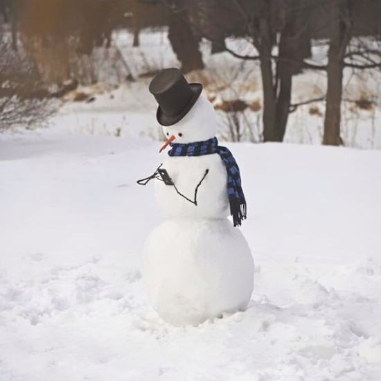 דמויות שלג יצירתיות של איש השלג (1)