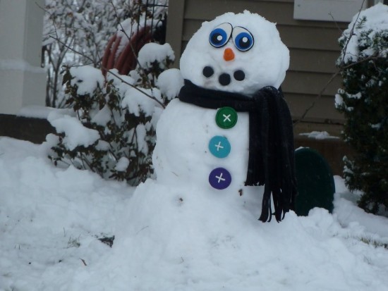 דמויות שלג יצירתיות של איש השלג (8)