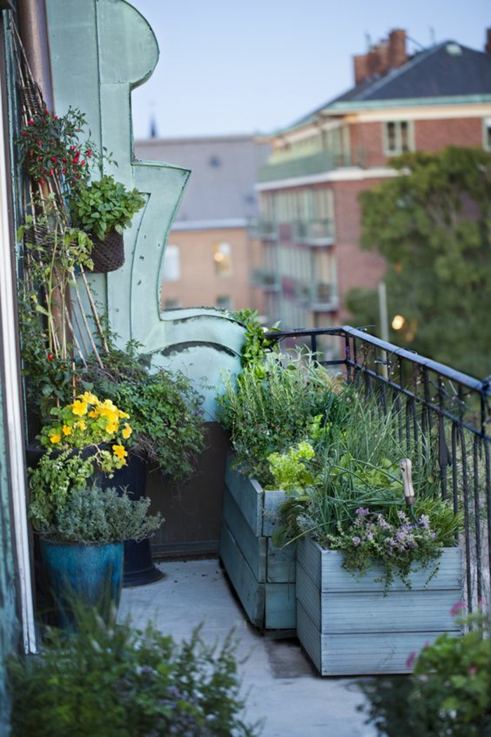 μπαλκόνι σχεδιασμός μπαλκόνι φυτά βότανα φυτά