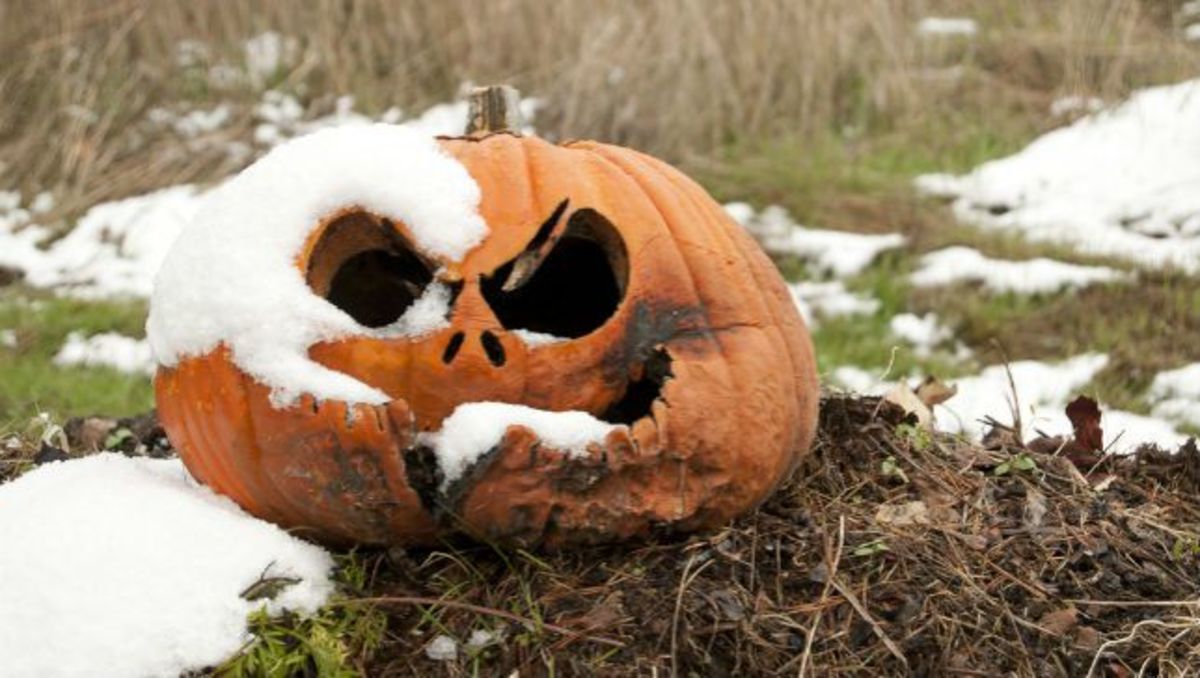 rotting-halloween-pumpkin.jpg.653x0_q80_crop-smart