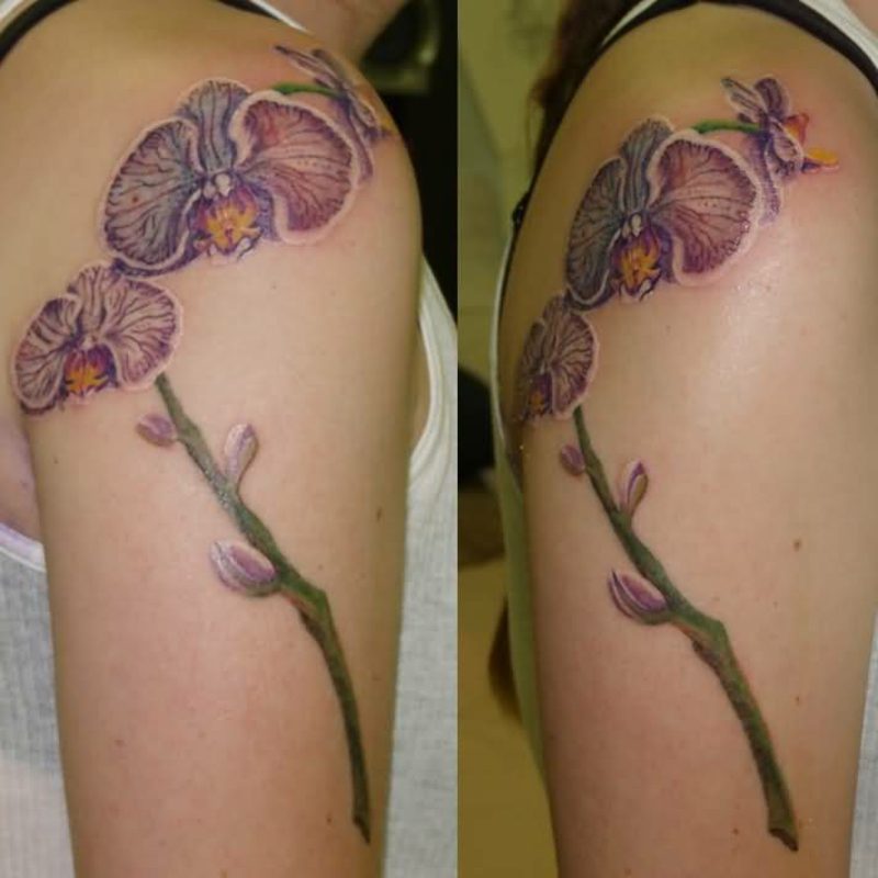 ramena tetování orchidejí