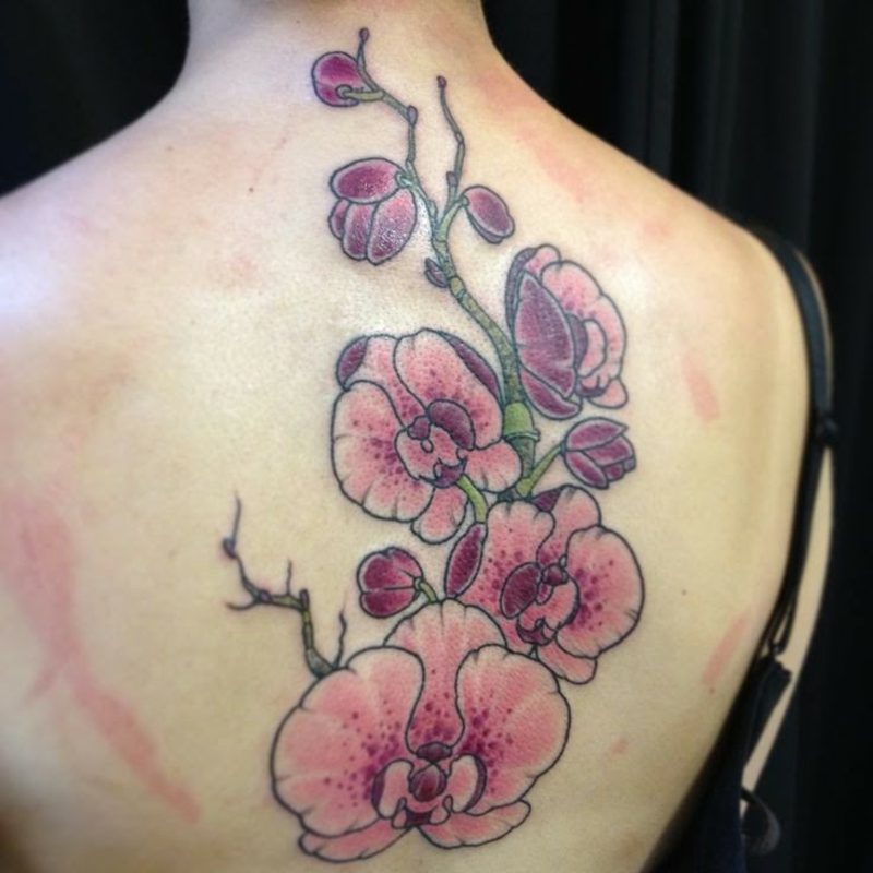 orchideje tetování zpět pro ženy