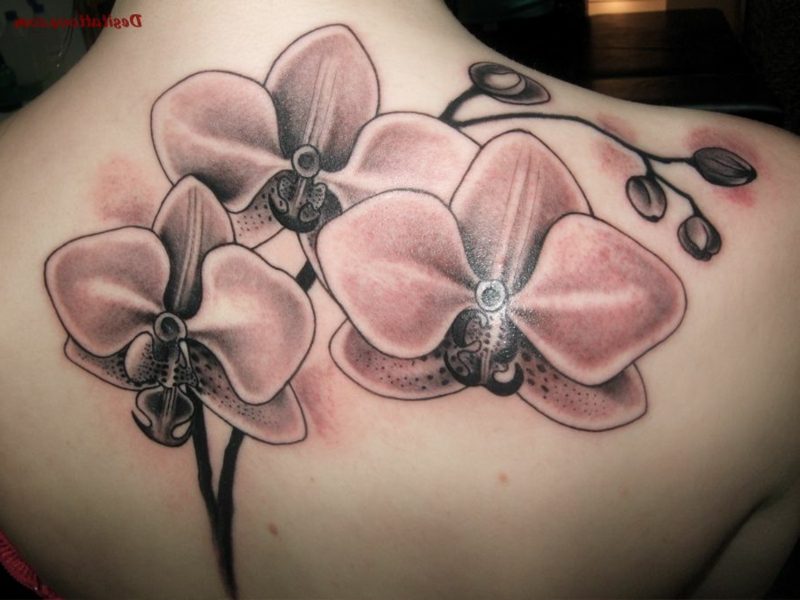 orkidé tatovering grå blekk