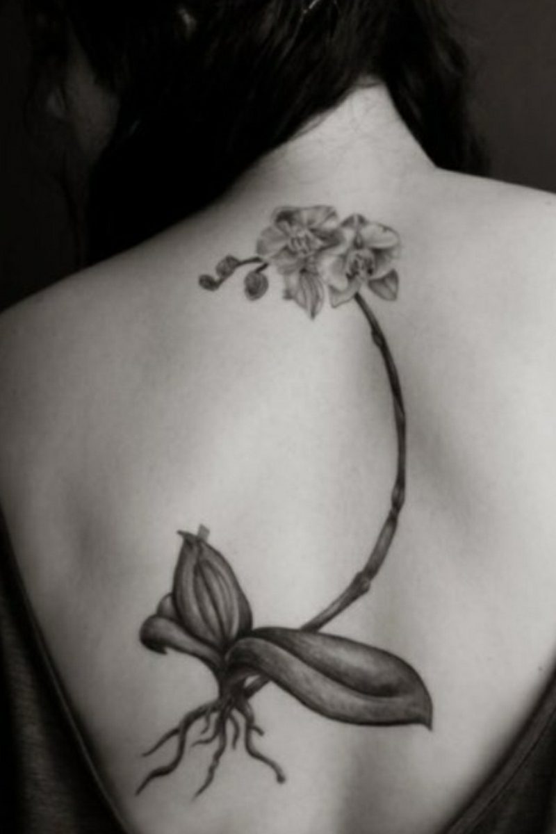 tetování orchidejí