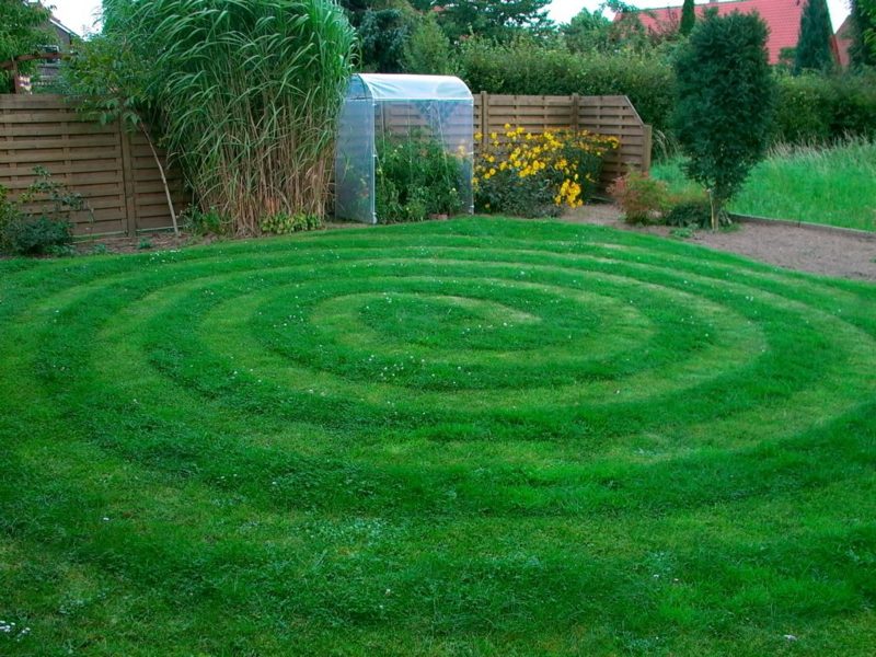 Scarifying plener riktig original teknikk spiral