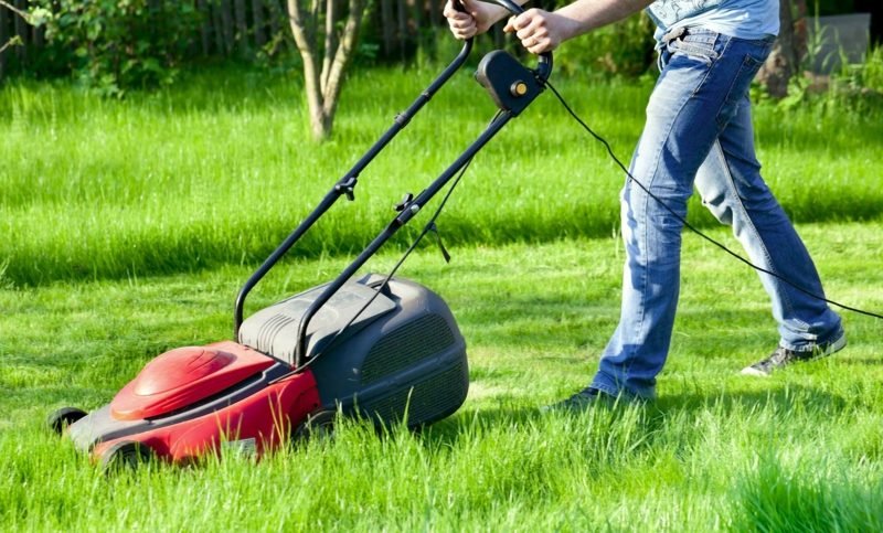 Det er viktig vedlikehold å skjære plenen skikkelig