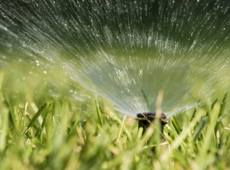 Vanning av plenen Vedlikehold er viktig