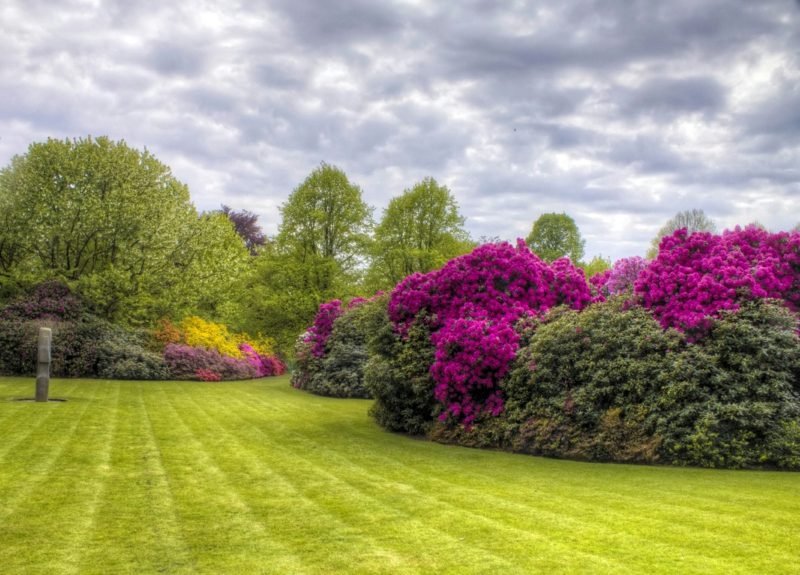skarifikovaný trávník nádherný vzhled zahrada