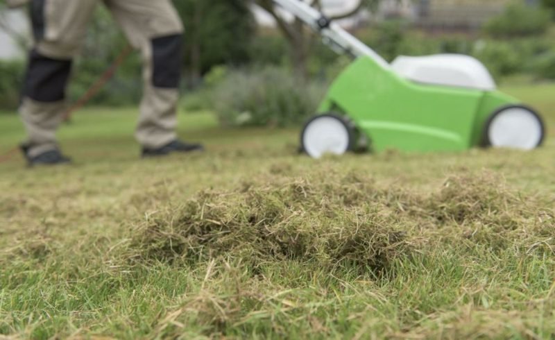 riktig å gjøre tips om hagearbeid i plenen