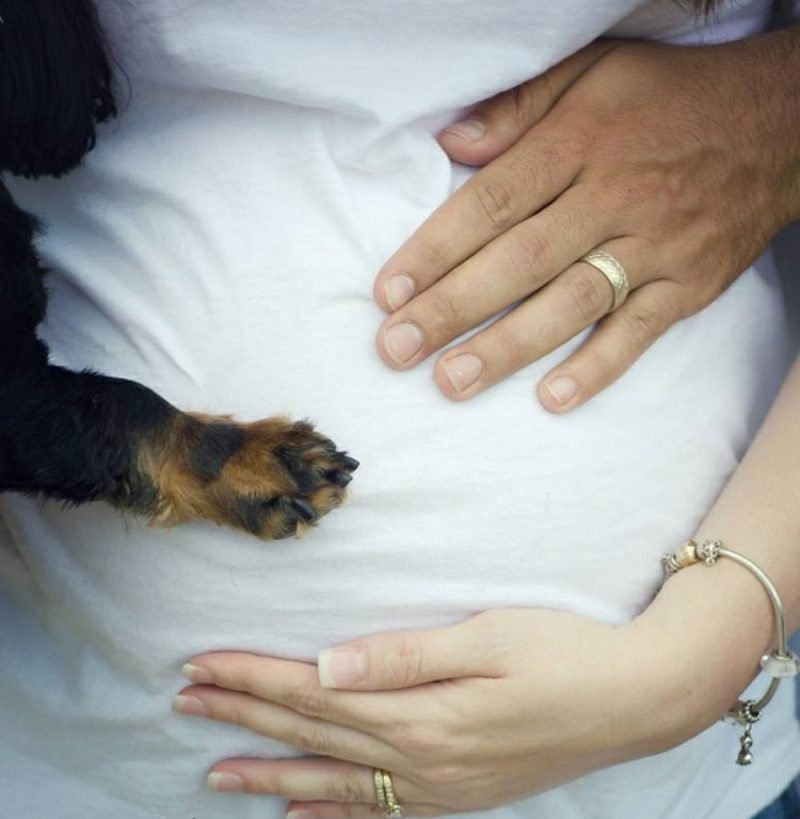 Pořizování těhotenských fotografií psí tlapky