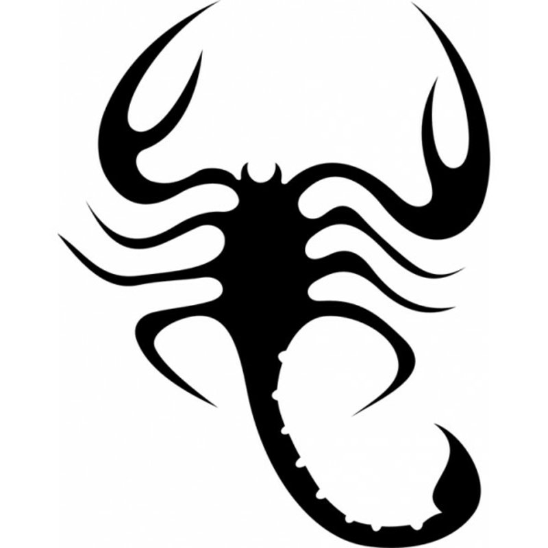 zodiac-tattoo-scorpio-001