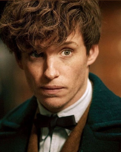 middels lange moderne menns frisyrer eddie redmayne