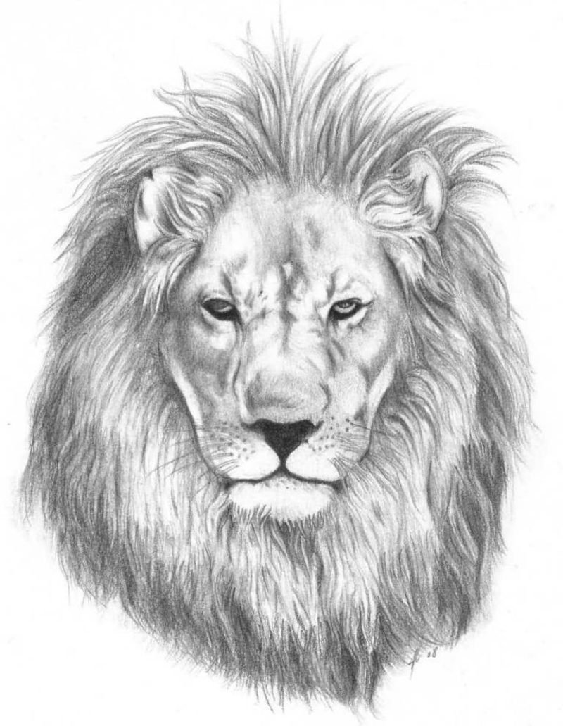 Tattoo løve mal
