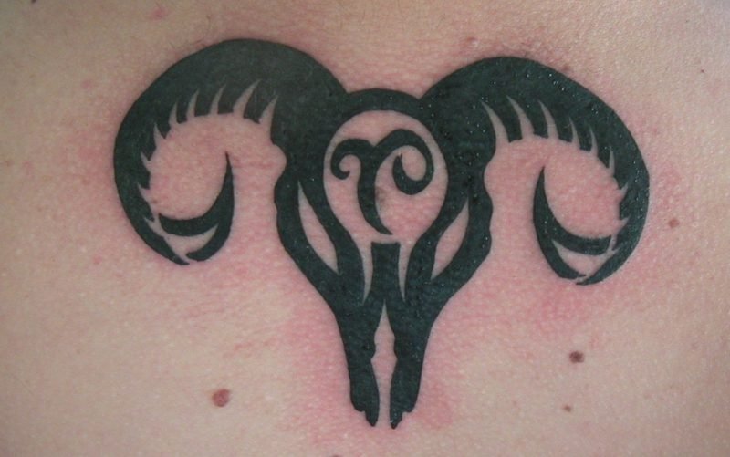 dyrekretsen tatovering Væren