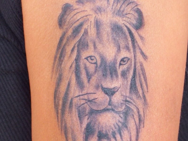dyrekretsen tatovering