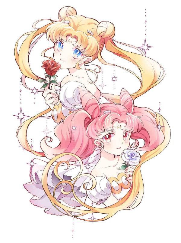 Usagi ir Chibiusa menas, kurį sukūrė IKU Pixiv menininkas ♥ 1539 m. Abu personažai atrodo nuostabiai ir komplimentuoja vienas kitą susipynę plaukus, taip sukurdami rėmelį ir piešiniui.