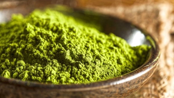 Tradisjonell Matcha -tilberedning - tips for den perfekte koppen grønn te matcha pulver bio sunt