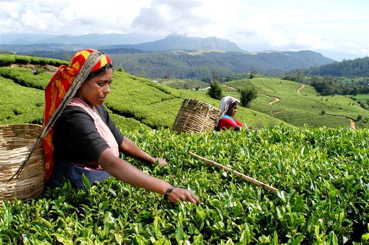 Billige feriedestinasjoner 2019: Sri Lankas innbyggere