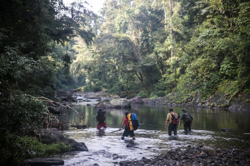 De beste feriedestinasjonene 2019: natur og elver i Panama