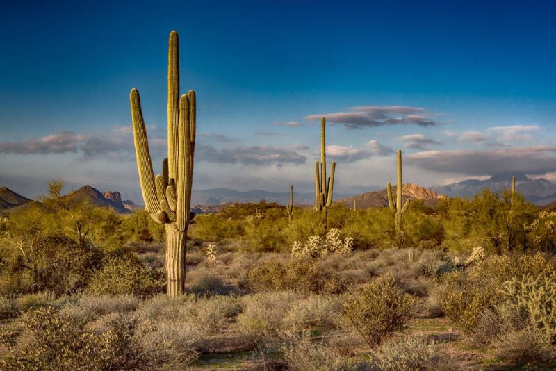 USA okružní cesta krajina Arizona