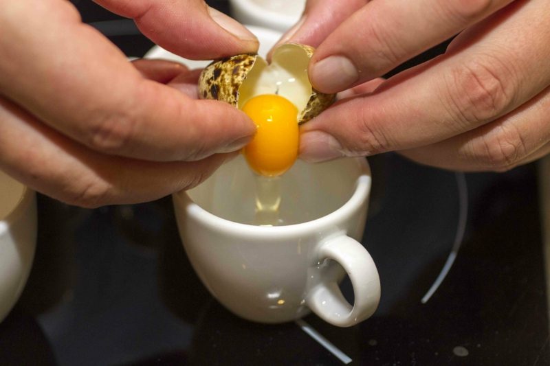 Recept na křepelčí vejce