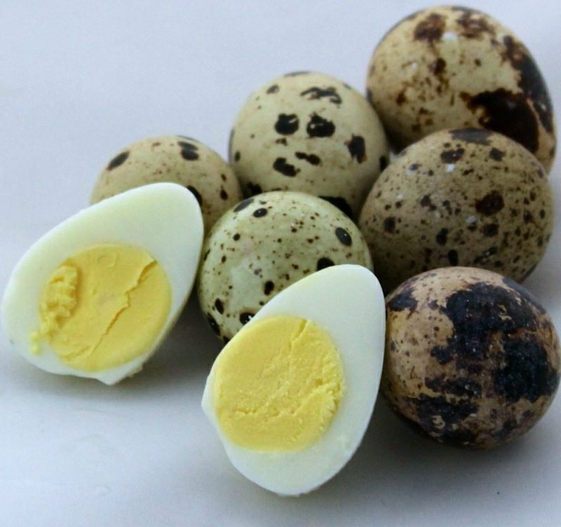 Doba vaření křepelčích vajec