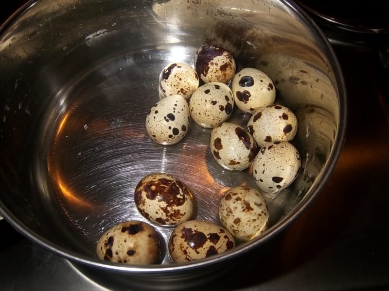 jak dlouho vařit křepelčí vejce návod