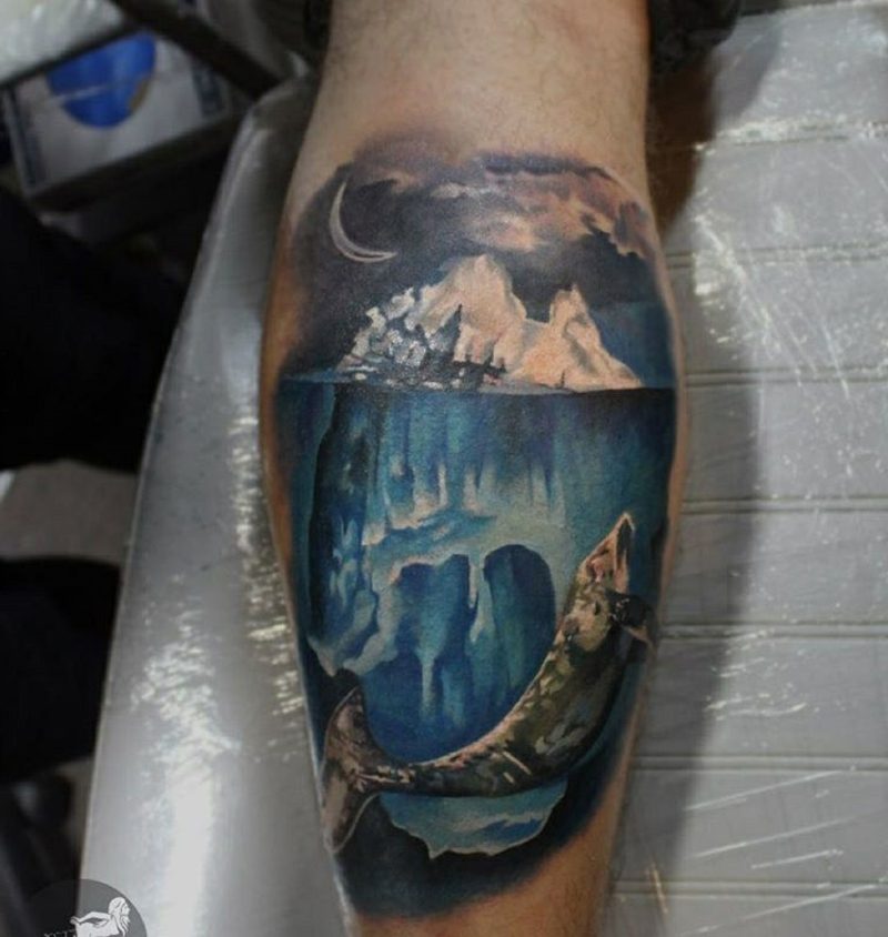 tele tetování ledovec