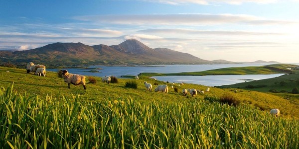ταξίδια στον κόσμο ζωντανά στην Ιρλανδία