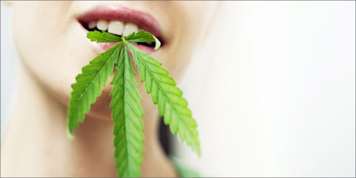 Nors THC ir CBD yra natūralūs kanabinoidai, esantys kanapėse, jie turi labai skirtingas savybes. THC yra pagrindinis psichoaktyvus junginys, randamas kanapėse, ir tai yra priežastis, dėl kurios marihuana suteikia jums fizinį aukštumą. Kita vertus, CBD jūsų neapsvaigina, o gali atremti THC sukeltą nerimą, tuo pačiu teikdamas medicininę naudą.