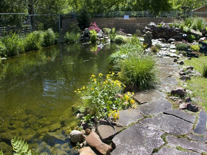 kameny vedle vodní zahrady