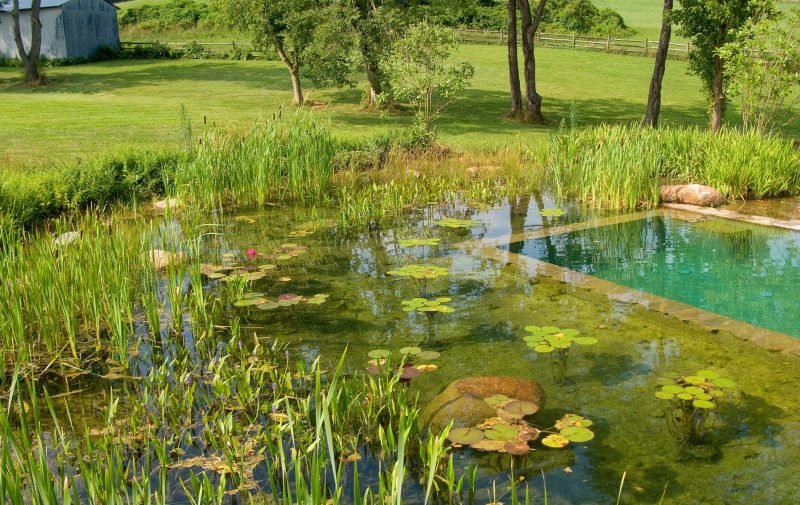 badebasseng koster på gårdsplassen