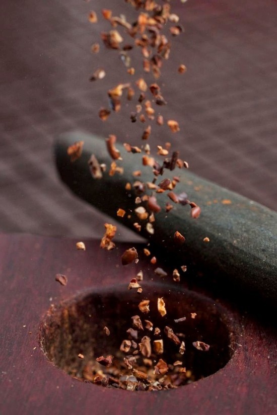ההשפעה והשימוש של ניבי קקאו, פטריות הקקאו החדשות של מזון העל טוחנות טיט
