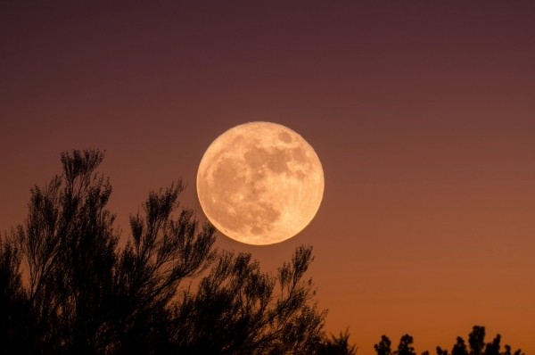 מאיפה ליל כל הקדושים עובדות ועובדות מעניינות על פסטיבל האימה! ירח מלא בשנת 2020