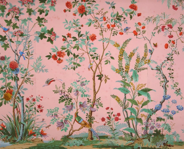 Nádherné tapety na zeď růžové rostliny