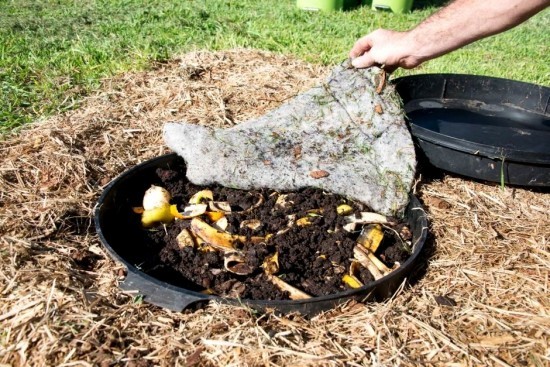 Dyrk ormekasse og dekk fordelene med å høste din egen organiske gjødsel, forberede ormhumus i hagen
