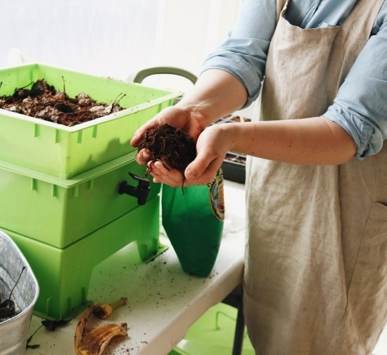 Dyrk ormekasse og høst fordelene med din egen organiske gjødsel og gi kompostorm til ditt nye hjem