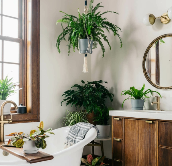 rom dekorere ideer bad dekorere planter badekar rundt speil