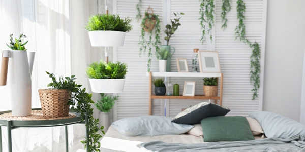 dekorere rom ideer ferske soverom design plante dekorasjoner